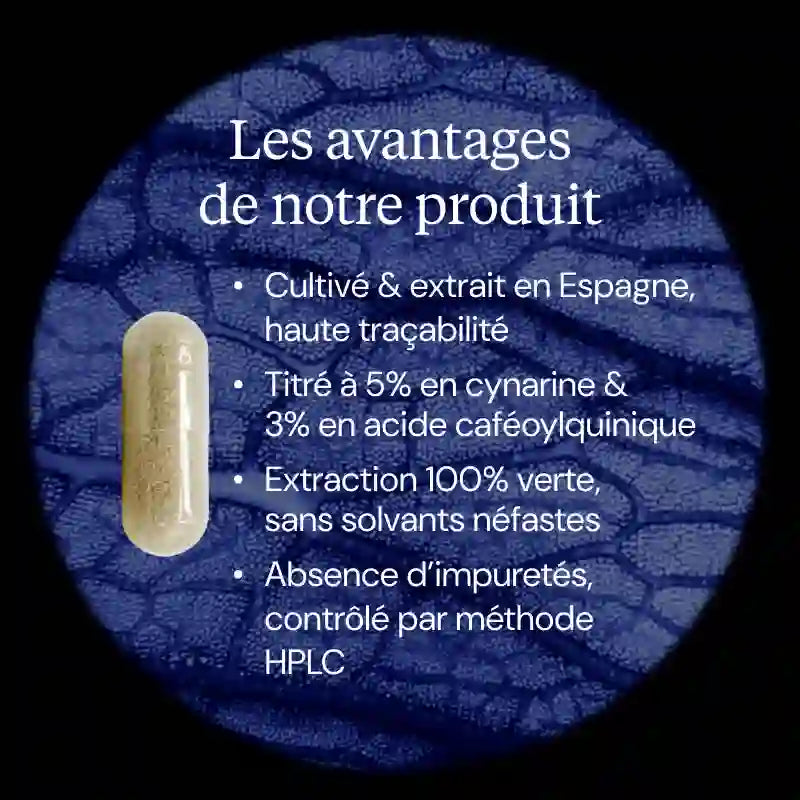 Artichaut 5% Cynarine