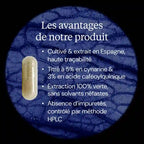 Artichaut 5% Cynarine