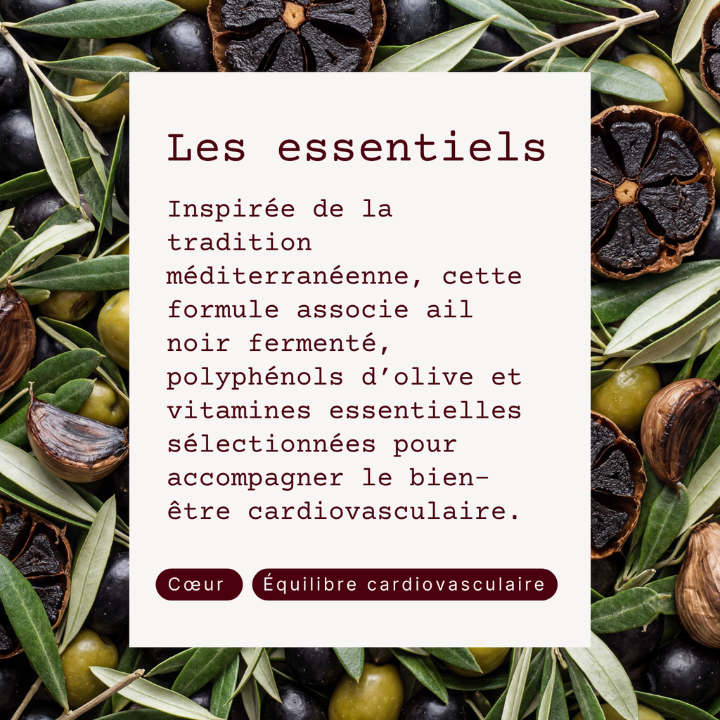 Cœur et Artères
