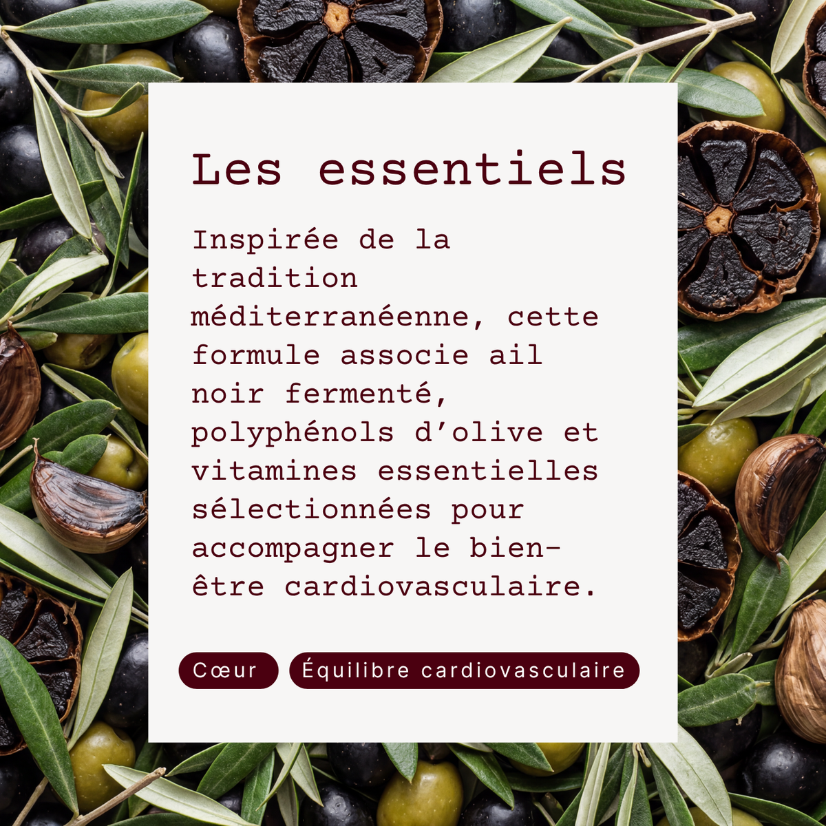 Cœur et Artères