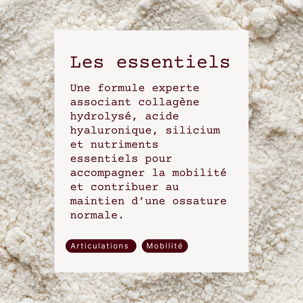 Collagène Articulation et Os