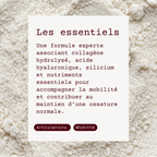 Collagène Articulation et Os