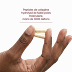 Collagène Plus