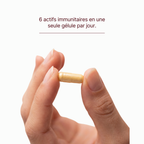 Immuno Support