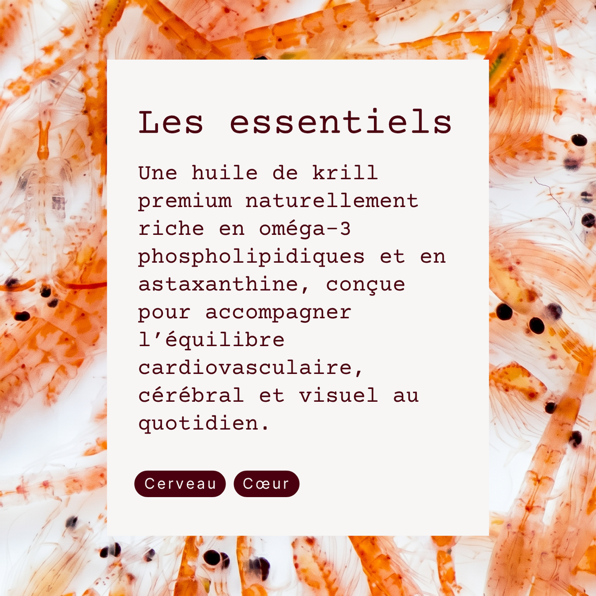 Pure Krill Oil