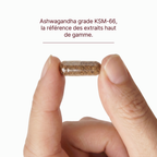 Safran & Ashwagandha B6, B3