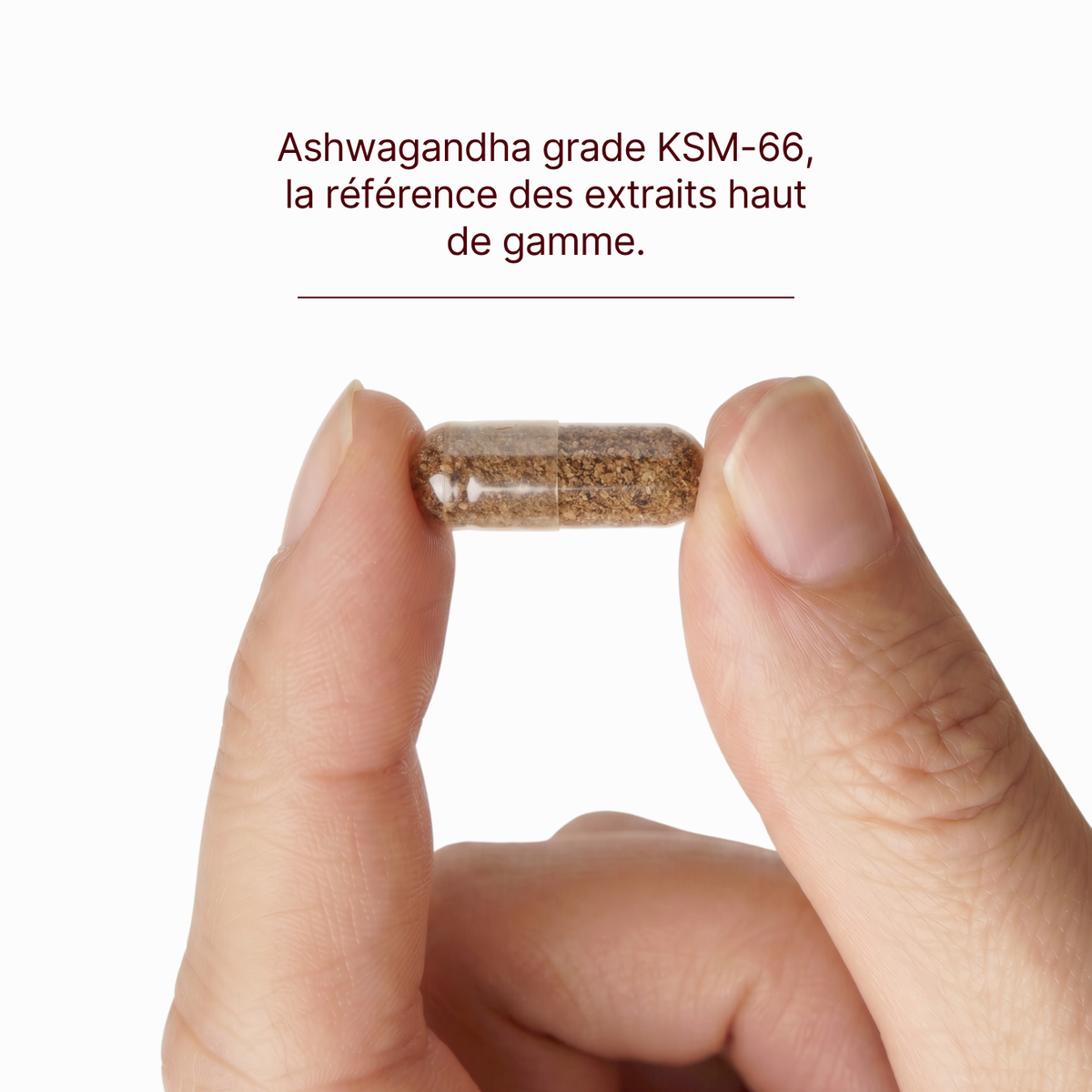 Safran & Ashwagandha B6, B3