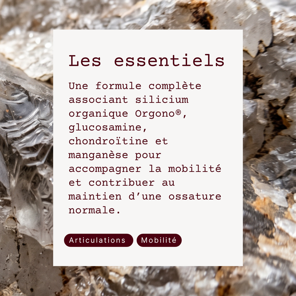 Silicium Organique - Sili-G5 Plus