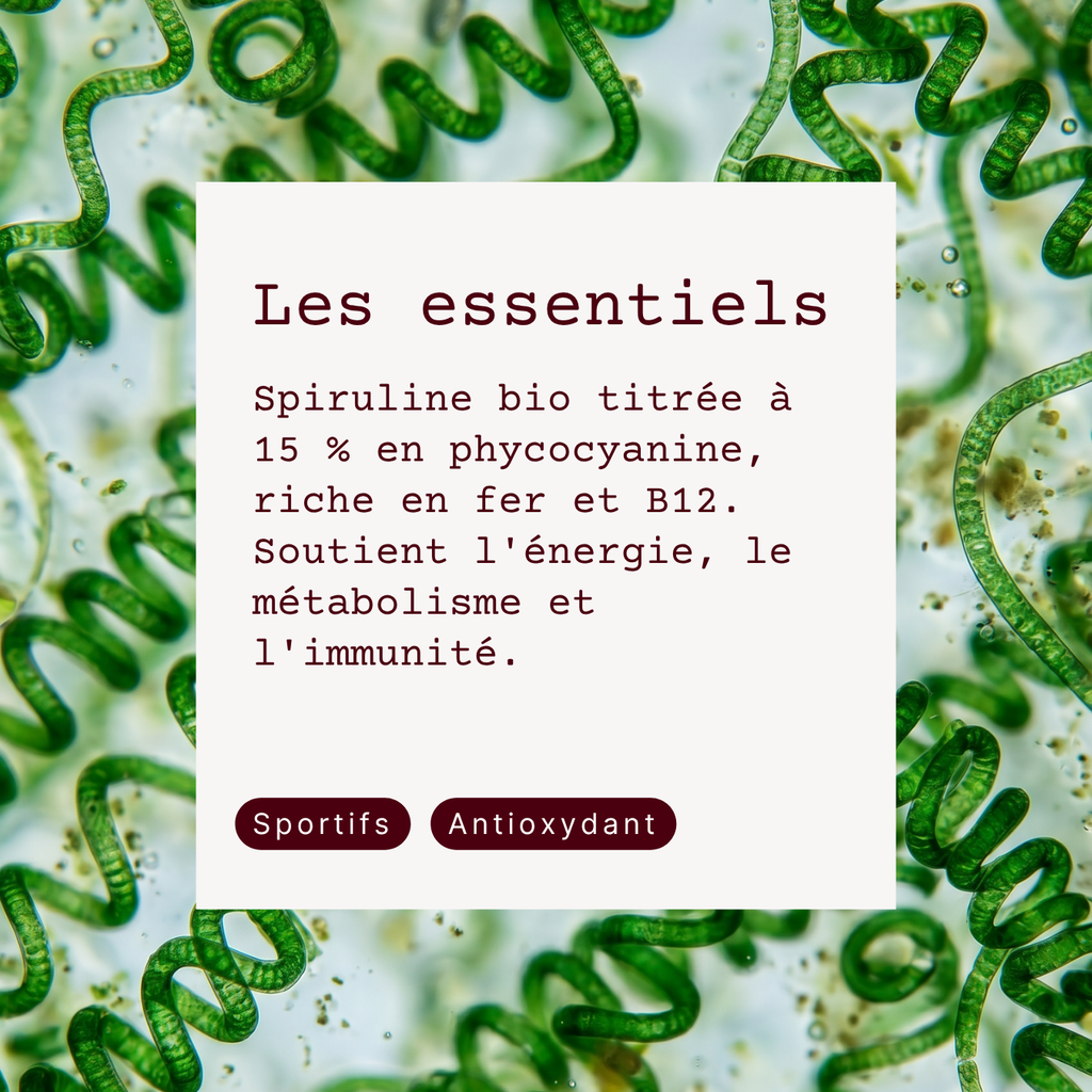 Spiruline BIO (+ Fer et B12)