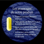 Berbérine Pure