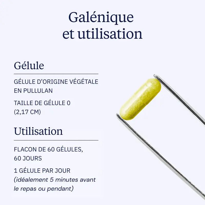 Berbérine Pure