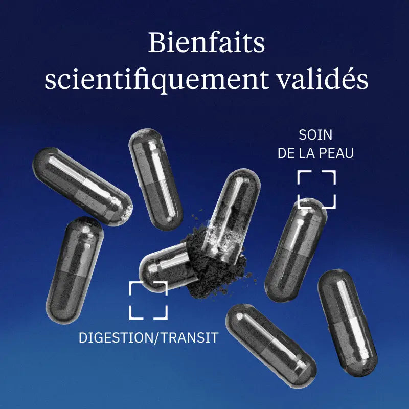 Charbon Actif Végétal Bio