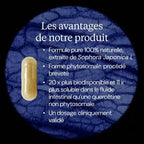 Quercétine Phospholipide Quercefit