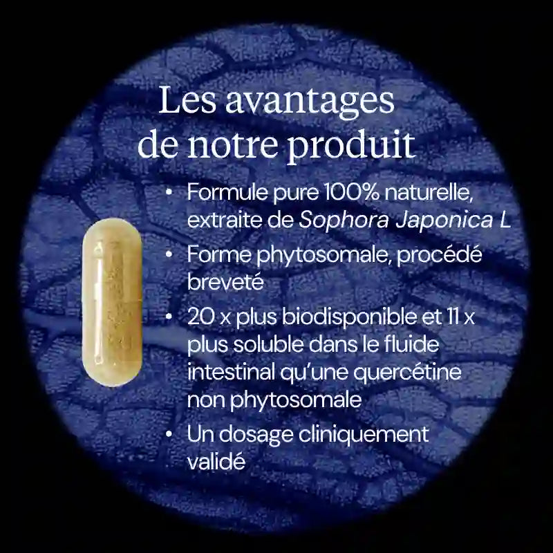 Quercétine Phospholipide Quercefit