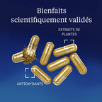 Quercétine Phospholipide Quercefit